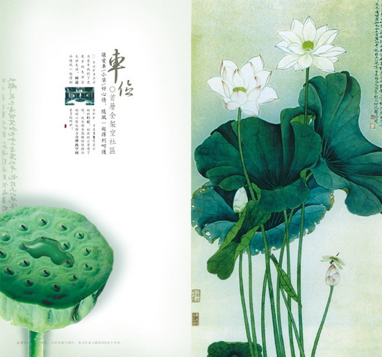 廣州20頁(yè)畫冊(cè)設(shè)計(jì)制作費(fèi)用 廣州公司畫冊(cè)彩盒印刷